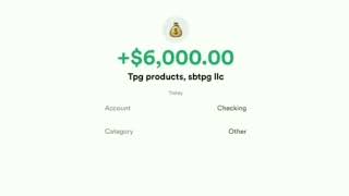 What is TPG PRODUCTS SBTPG LLC - Turbo Tax