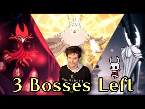 🔴 Let's beat every boss in Hollow Knight Hitless PART 3