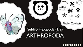 Filo Arthropoda - Hexapoda (2/5)