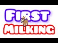 First Milking