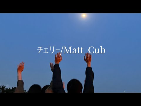 【歌詞】チェリー/Matt Cab cover #tiktok #スピッツ　概要欄見てね⤵︎