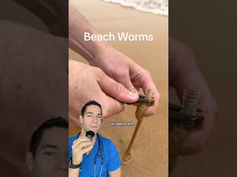 Doctor Reacts: sand worms?!