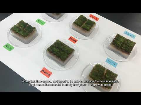 応用生物学課程 Research at Kyoto Institute of Technology Vol.1 -- Prof. HANBA Yuko