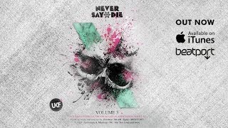Never Say Die Vol. 3 (Album Megamix)
