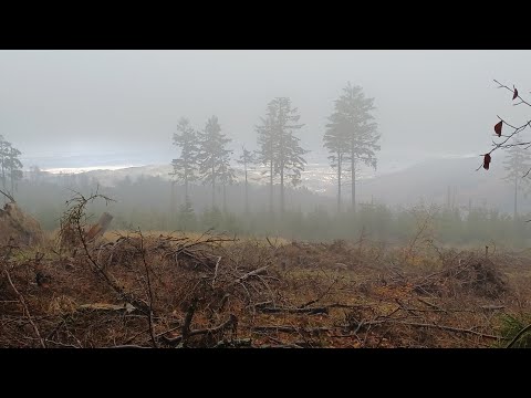 Góry Sowie w chmurze