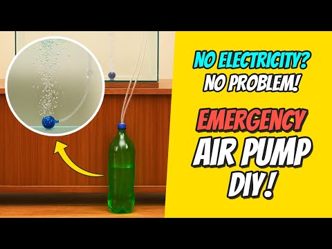 DIY Free Energy Fish Tank Air Pump | No Electricity Needed!
