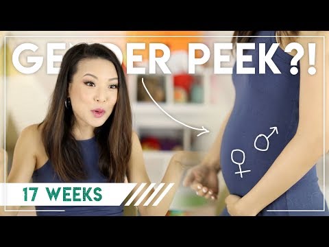GENDER 1ST PEEK?! || Preggy Vlog Week 17 Video