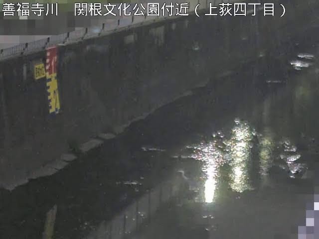 関根文化公園付近 丸山橋 下流