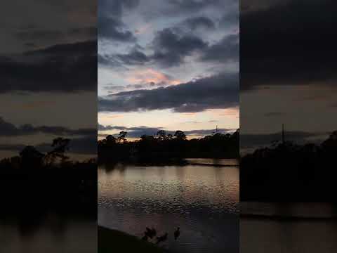 memorial park night of joyous skies