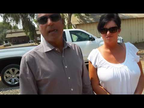 Fast Growing New Pistachio Trees Reaching Profitable Production! See Beautiful Green Pistachio Nuts.