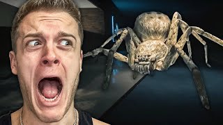 A MAN EATING SPIDER IS ON THE LOOSE