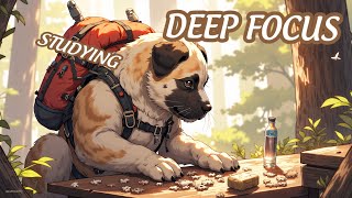 😌 No-Stress Study & Work | Concentration Playlist | Pomodoro 45/10