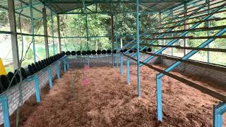 Download lagu Episode 1 Reban ayam kampung baru masukkan sekam padi mp3 Download lagu Episode 1 Reban ayam kampung baru masukkan sekam padi mp3