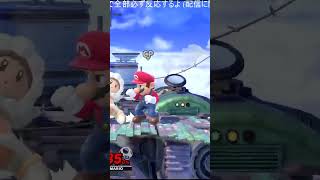 下スマギロチン | アイスクライマー スマブラSP | #punsuk0toid (#Twitch)