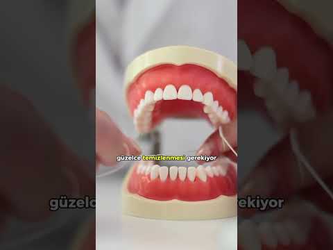 Serdal Veske-15