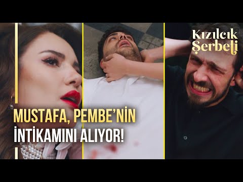 Ünallar köşkünde kara gece! | Kızılcık Şerbeti 103. Bölüm (3. SEZON FİNALİ SON SAHNE)