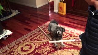 Gob - leave me alone