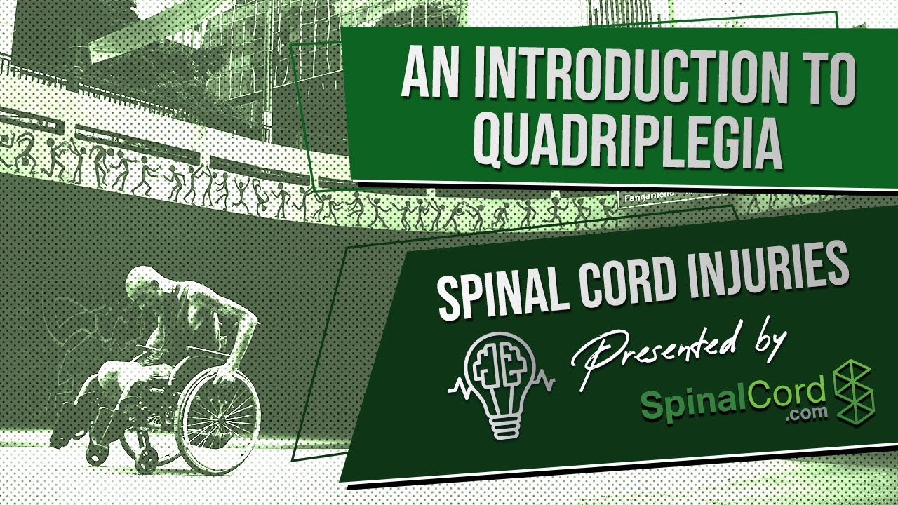 What is a Tetraplegia? More REF