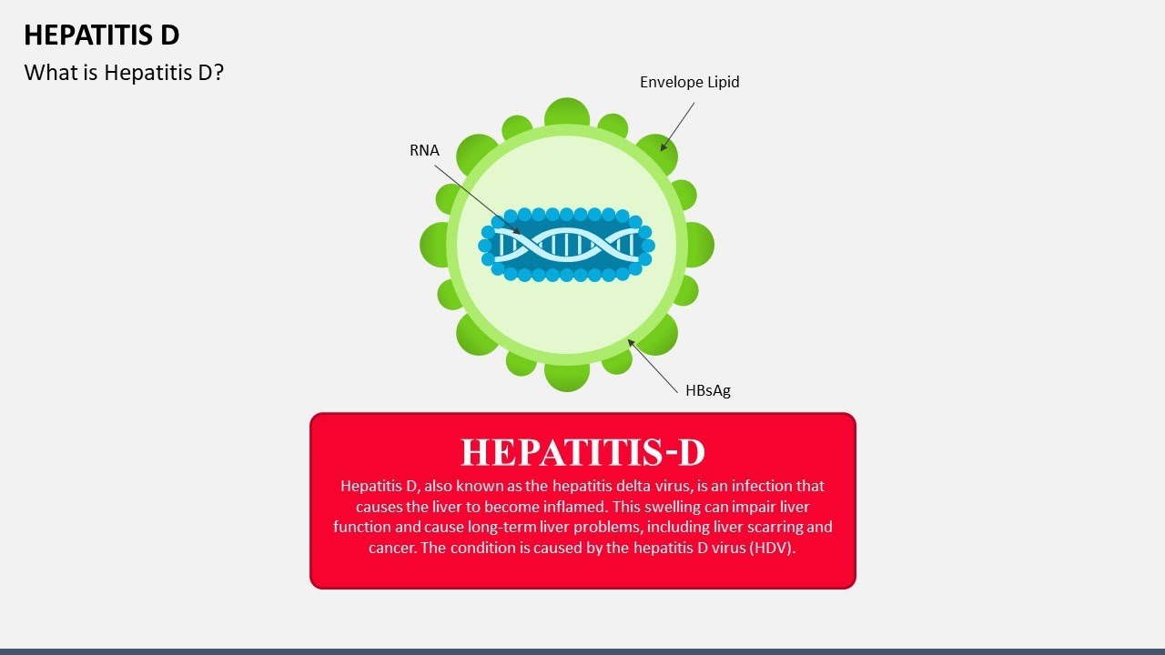 Hepatitis D Animated Presentation Slides