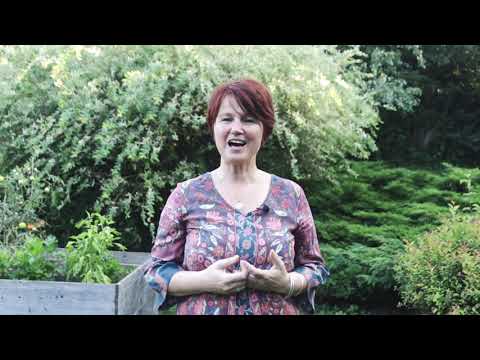 Podpořte vydání knihy o bohatství života podle našich hodnot