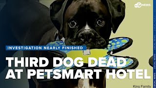 Investigation nearly finished after 3 dogs die at Alexandria PetSmart hotel