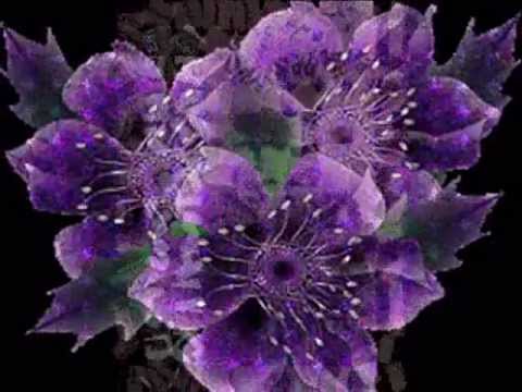 EDWARD  STACHURA  -  Co warto;