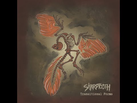 Travis Orbin - Sharptooth Session - "The Southern Strategy" & "M.P.D.B."