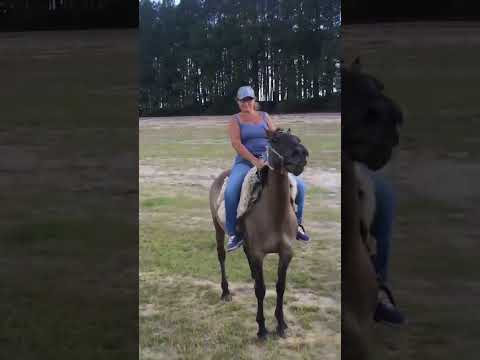 🐎🇺🇾 ¡NOS SUBIMOS A CABALLO! Una aventura increíble en San Gregorio de Polanco 😱