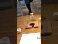 Table Used To Eat Monkey Brain Alive At Disgusting Food Museum In Malmo Sweden 🇸🇪