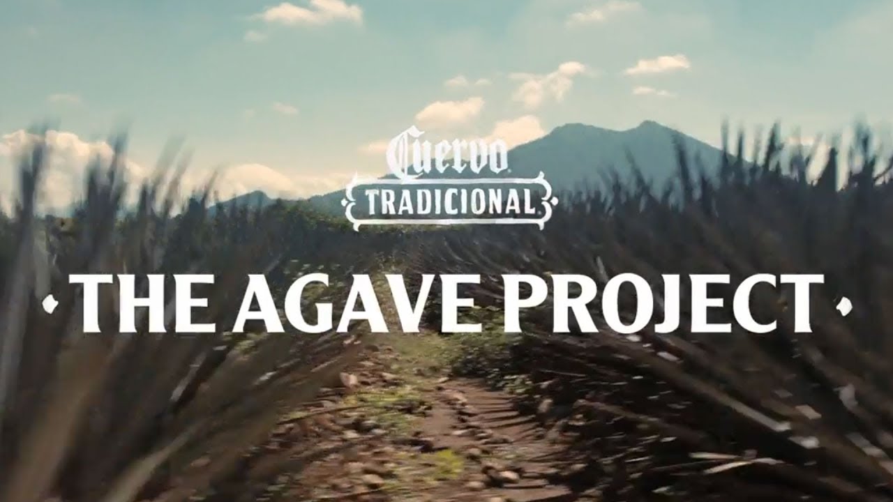Jose Cuervo: The Agave Project (60s)