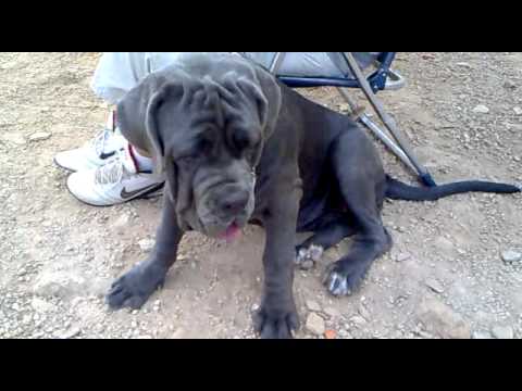 Ely de Azzurra - Mallorca