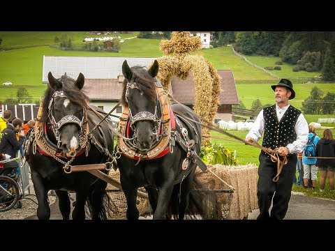 Keila Kirschta 2017 - Festumzug | Vom Korn bis zum Brot