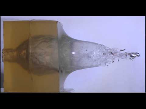 Short Range Capabilities of Berger Bullets