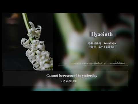 Hyacinth
