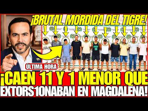 ¡EL TIGRE CAPTURÓ a 11 EXTORS1ONADORES y un MEN0R que TRABAJABAN para el CLAN DEL GOLFO en MAGDALENA