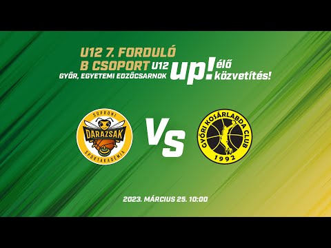 Sportdarázs - Győri KC Kenguruk