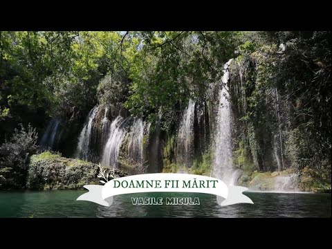 VASILE MICULA - Fii mărit