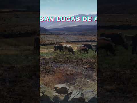 SAN LUCAS CHUQUISACA  BOLIVIA