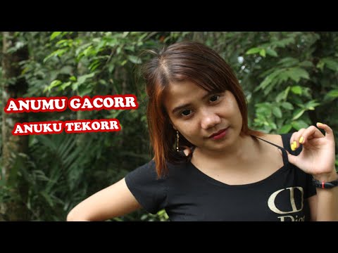 janda-maxwin-semakin-gacor