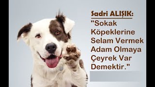 "Bir Dost" Kedi-Köpek Sahiplendirme Programı 1. Bölüm