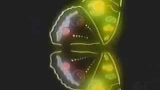 Abertura da Novela Marrom Glacê (TV Globo - 1979)