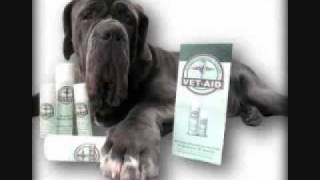 Canine Chin Acne / Skin Disorders in Dogs: Mastiffs, Rottweilers, Bull Dogs, Boxers