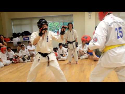 Ashihara Karate: 2016 Grading 3 Highlights