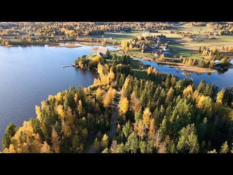 Colorful Finnish autumn, beautiful drone view (4K)