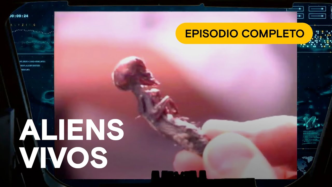 Golpe en pleno vuelo y alianzas secretas: ⚠️ El caso que sacudió a pilotos y militares | PILOTOS