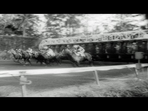 HD Stock Footage Sir Gaylord Takes Ridan in Bahamas Stakes