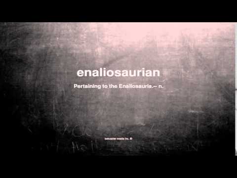 What does enaliosaurian mean