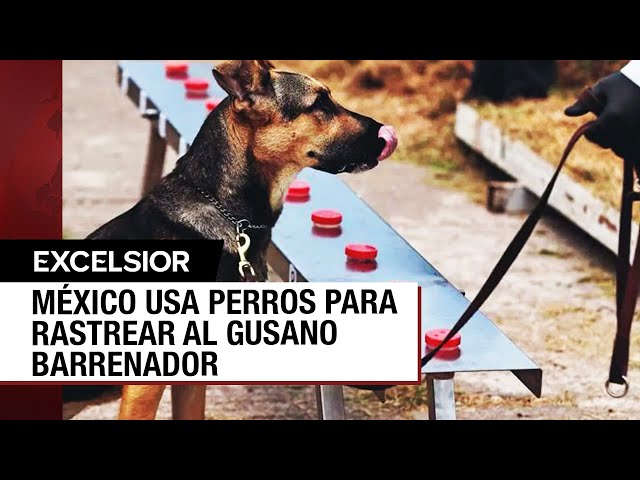Youtube Imagen