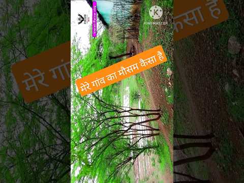 मेरे गांव का मौसम बहुत खराब है ब्लॉक 😱 मेरे गांव का न्यू ब्लॉक #shortvideo #shorts #shortsfeed