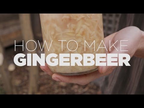 download lagu mp3 mp4 Ginger Beer Plant, download lagu Ginger Beer Plant gratis, unduh video klip Ginger Beer Plant